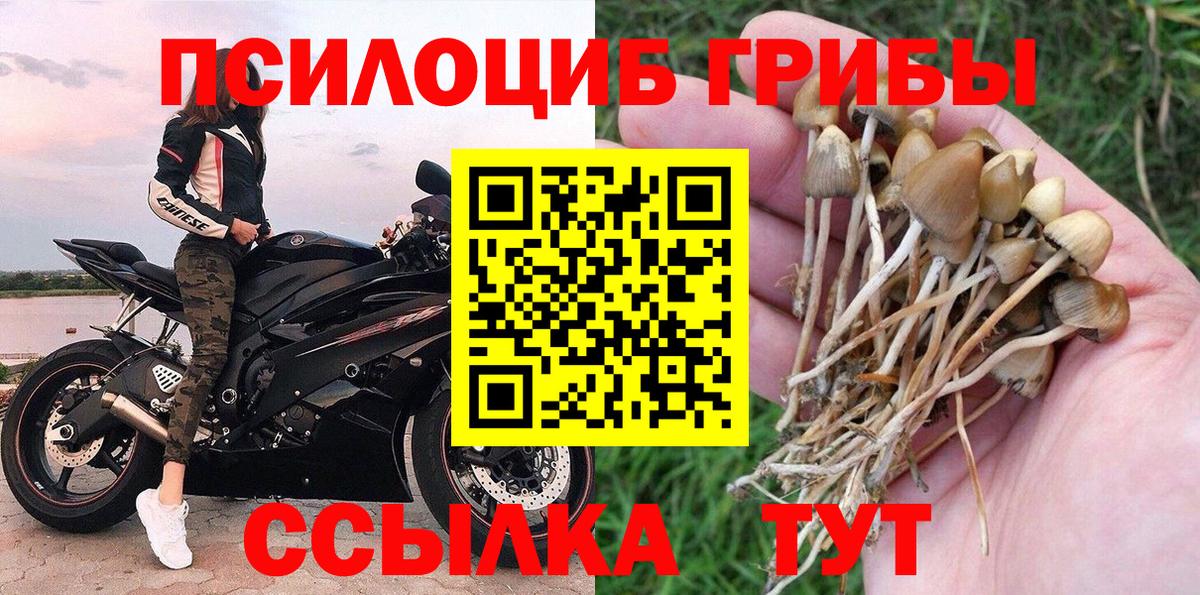 Псилоцибиновые грибы ЛСД Урюпинск