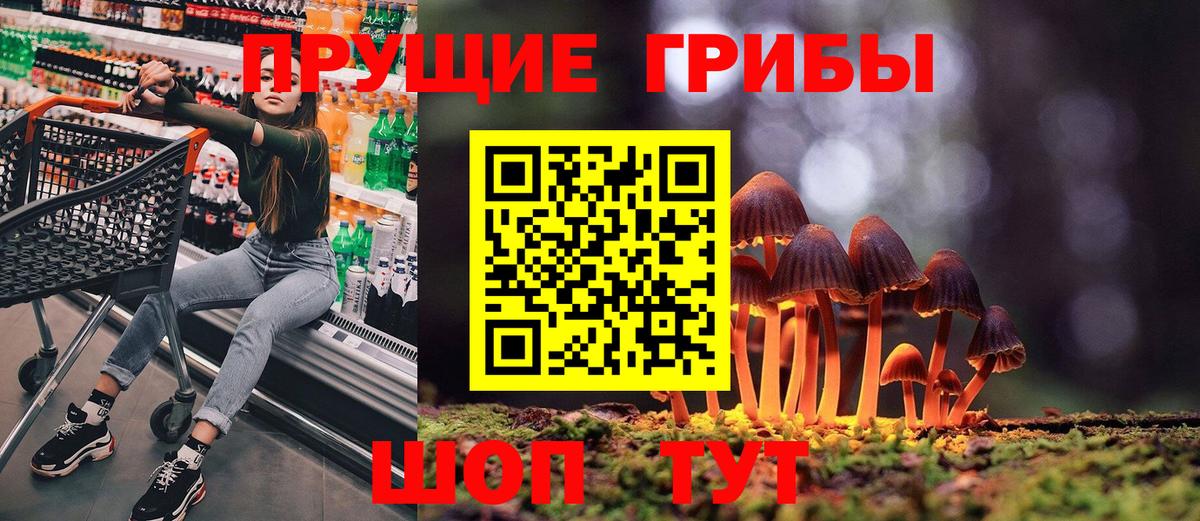 Псилоцибиновые грибы Psilocybe  Вход с VPN  Галлюциногенные грибы Psilocybine cubensis  Урюпинск 